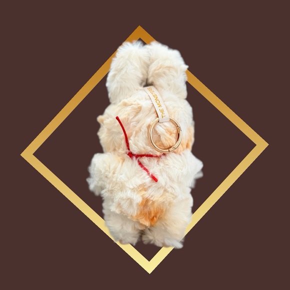 🚫𝐒𝐎𝐋𝐃🚫 - Picture 2 of 2